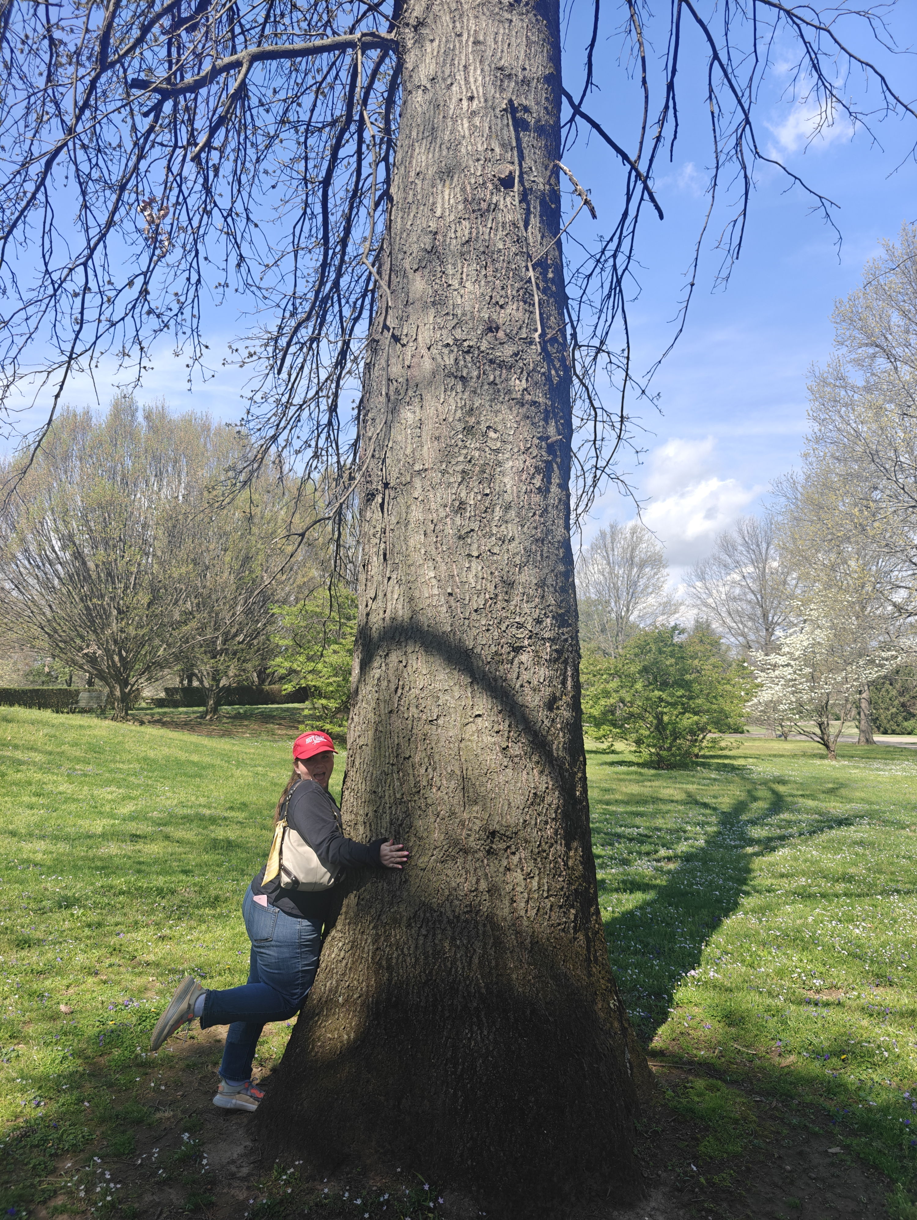 Person hugging a large tree in a vibrant park, conveying joy, connection to nature, and a relaxed, carefree atmosphere.