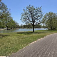 A serene path by water, surrounded by lush greenery and clear skies, evokes tranquility and invites outdoor reflection.