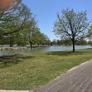 A serene path by water, surrounded by lush greenery and clear skies, evokes tranquility and invites outdoor reflection.