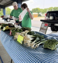 Farmers' market scene: two people in green shirts transact over fresh produce on a table with colorful signage, evoking warmth and community.