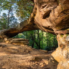 Natural stone arch surrounded by lush greenery, bathed in sunlight, evoking tranquility and appreciation for nature.