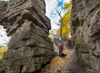 Narrow autumn passageway with vibrant leaves, towering rocks, and a person with a dog, evoking tranquility and exploration.