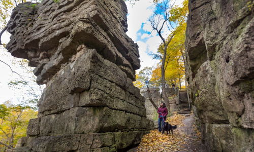 Narrow autumn passageway with vibrant leaves, towering rocks, and a person with a dog, evoking tranquility and exploration.