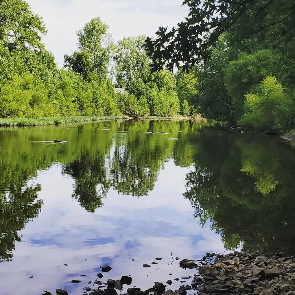 Serene river scene with lush trees reflecting on calm water, under a clear sky, evoking peace and connection to nature.