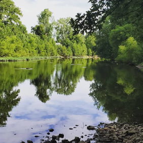 Serene river scene with lush trees reflecting on calm water, under a clear sky, evoking peace and connection to nature.