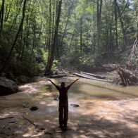 A person with outstretched arms stands in a serene forest, embodying joy and connection to nature's beauty.