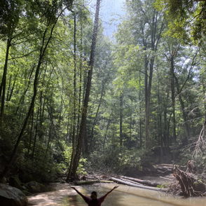 A person with outstretched arms stands in a serene forest, embodying joy and connection to nature's beauty.