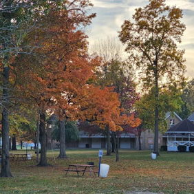 Serene park scene with vibrant autumn trees, grass, benches, swings, and a gazebo, evoking tranquility and nostalgia.