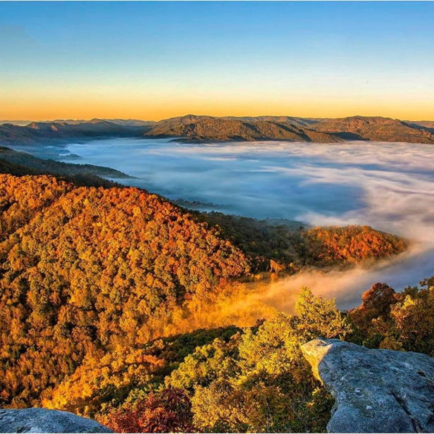 Rolling mountains in vibrant autumn foliage, illuminated by sunrise, evoke peace and tranquility amidst gentle fog.