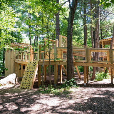 Wooden playground in lush greenery, featuring climbing areas and ramps, evoking joy, adventure, and a connection to nature.