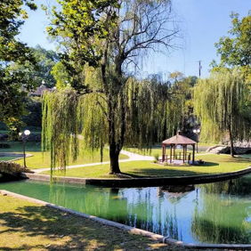 Serene park with a tranquil pond, lush trees, and a gazebo, evoking calmness and relaxation in nature.