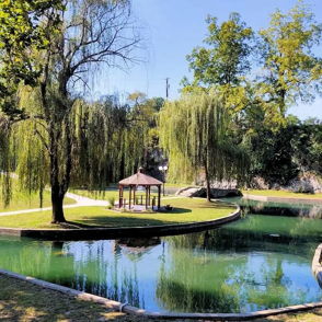 Serene park with a tranquil pond, lush trees, and a gazebo, evoking calmness and relaxation in nature.