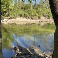 Serene riverside scene with calm water, lush greenery, two trees, and a clear blue sky, evoking tranquility and nature.