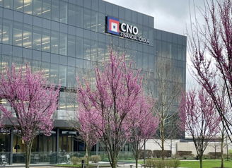 Modern glass office building with blooming pink trees and green grass under an overcast sky, evoking tranquility and renewal.