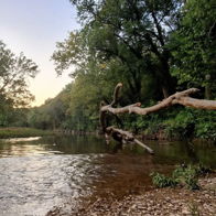 Serene river scene with lush greenery, calm waters reflecting dusk light, evoking peace and connection to nature.