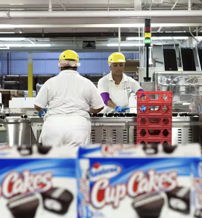 Two workers in white uniforms pack cupcakes in a clean, safe manufacturing environment, reflecting productivity and teamwork.
