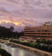 A modern building at sunset, surrounded by lush greenery and wet pavement, evokes calmness with vibrant orange, pink, and purple skies.
