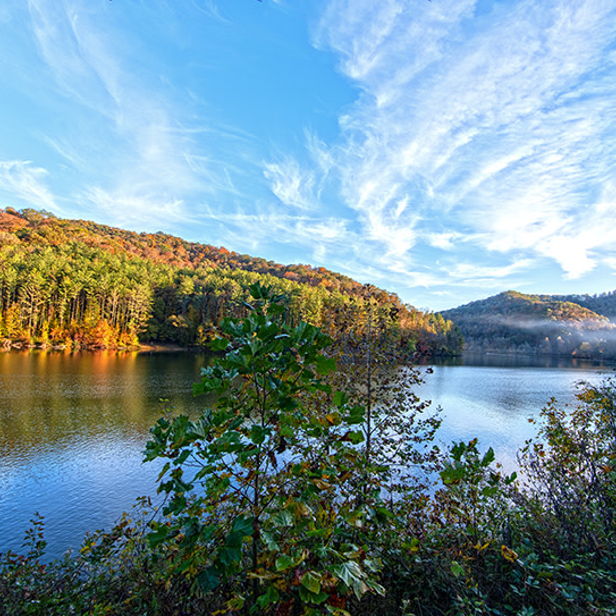 A serene lakeside scene with vibrant autumn foliage, calm water, and a blue sky evokes tranquility and connection to nature.