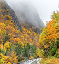 Serene autumn landscape with colorful hills, greenery, a winding road, and a clear sky, evoking peace and appreciation for nature.