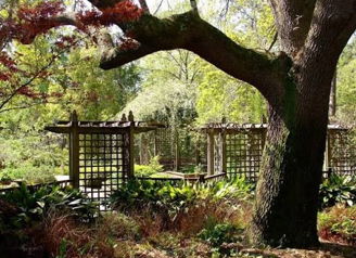 Serene garden with lush greenery, wooden trellises, and a gnarled tree, creating a tranquil space for reflection and calm.
