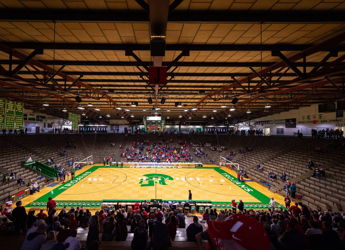 A vibrant indoor sports arena with a basketball court, featuring colorful markings and a mix of excited fans and empty seats.