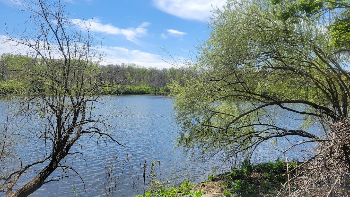 Tranquil river scene with lush trees, clear sky, and calm water, evoking peace, renewal, and connection to nature.