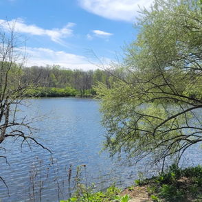 Tranquil river scene with lush trees, clear sky, and calm water, evoking peace, renewal, and connection to nature.