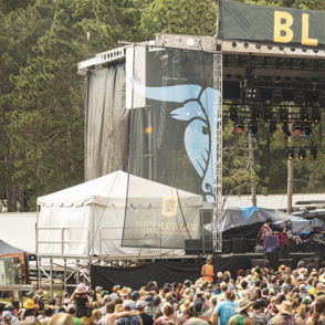 Crowd enjoying a lively outdoor music festival at the "BLUE OX" stage, surrounded by nature and vibrant energy.