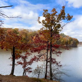 Serene autumn landscape with a calm lake, vibrant orange, red, and yellow trees, and a partly cloudy sky.