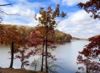 Serene autumn landscape with a calm lake, vibrant orange, red, and yellow trees, and a partly cloudy sky.