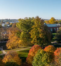 Aerial view of a campus with vibrant autumn foliage, a brick building, and a tranquil atmosphere under a bright blue sky.