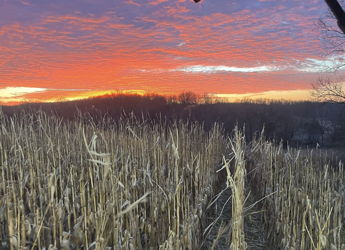 Breathtaking sunset over harvested corn field, with vibrant colors evoking peace and connection to nature.