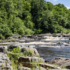 A tranquil river flows over rocks, surrounded by lush greenery and under a blue sky, evoking peace and relaxation.