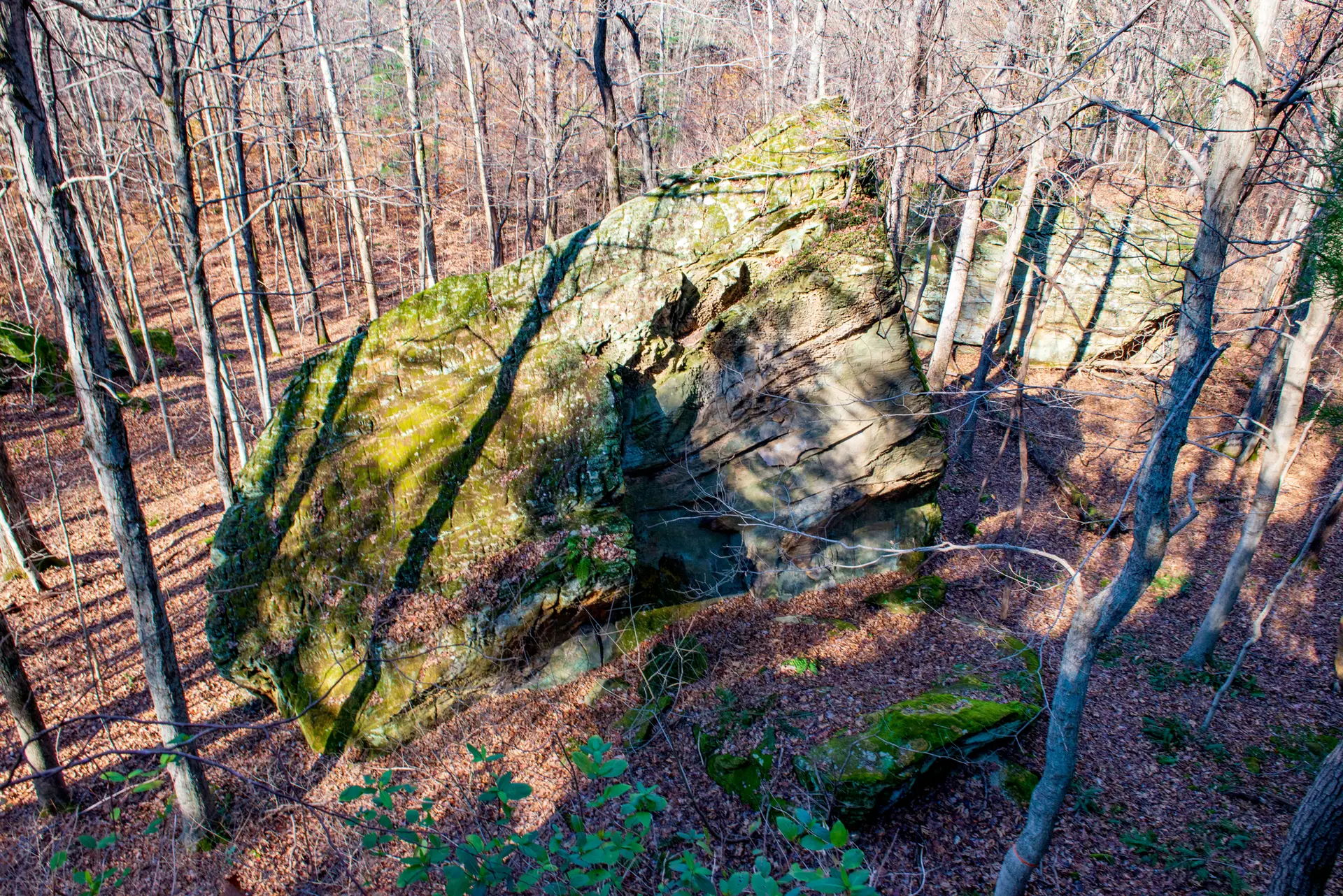 A large moss-covered rock amidst bare trees in a serene forest, evoking tranquility and a connection to nature.