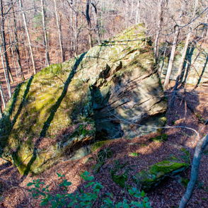A large moss-covered rock amidst bare trees in a serene forest, evoking tranquility and a connection to nature.