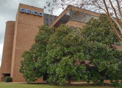 Modern brick building with "GEICO" sign, surrounded by green trees on a cloudy day, blending corporate and natural elements.