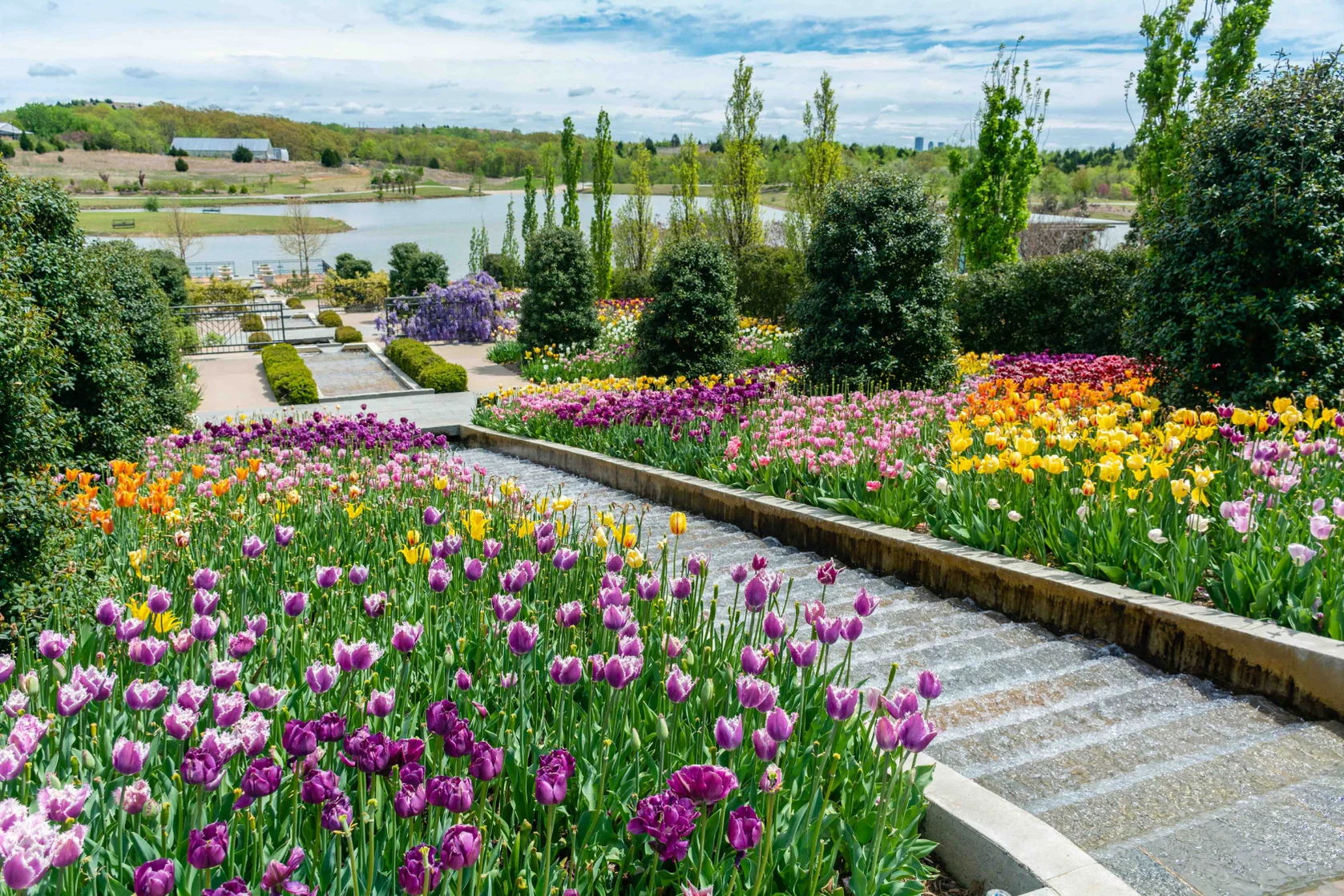 A vibrant garden with colorful tulips along a stone path, a serene water backdrop, and a clear blue sky, evoking tranquility.