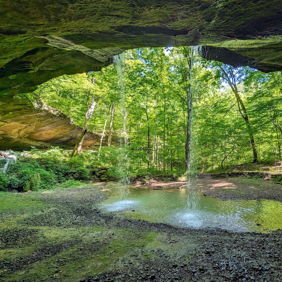 A serene cave opening reveals a lush forest and waterfall, evoking tranquility and connection to nature in a vibrant ecosystem.