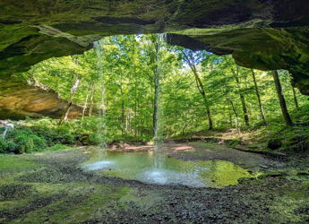 A serene cave opening reveals a lush forest and waterfall, evoking tranquility and connection to nature in a vibrant ecosystem.