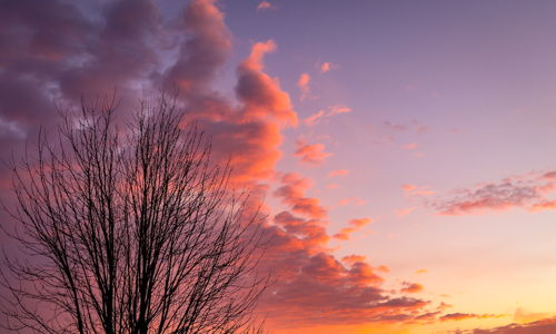 Vibrant sunset with purple, orange, and pink hues, wispy clouds, and a silhouetted bare tree evoking tranquility and reflection.