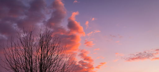 Vibrant sunset with purple, orange, and pink hues, wispy clouds, and a silhouetted bare tree evoking tranquility and reflection.