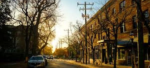 Quiet street at sunset with bare trees, warm light, brick buildings, and parked cars, evoking tranquility and nostalgia.