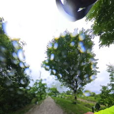 A cyclist in a yellow jacket navigates a lush, rainy path, embodying adventure, tranquility, and resilience in nature.