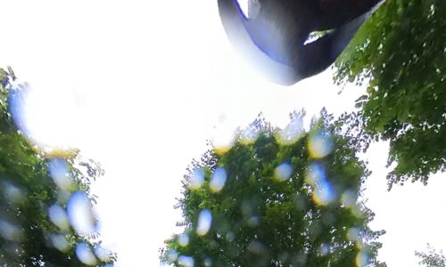 A cyclist in a yellow jacket navigates a lush, rainy path, embodying adventure, tranquility, and resilience in nature.