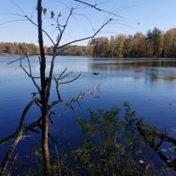 A serene landscape with calm water, autumn-colored trees, and a clear sky, evoking tranquility and appreciation for nature.