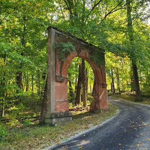 Rustic stone archway draped in greenery along a serene forest path, inviting tranquility and reflection in nature.