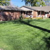 A vibrant front yard with a lush lawn, flower beds, and a “YARD OF THE MONTH” sign, set against sunny houses.