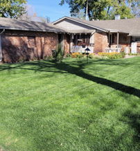 A vibrant front yard with a lush lawn, flower beds, and a “YARD OF THE MONTH” sign, set against sunny houses.