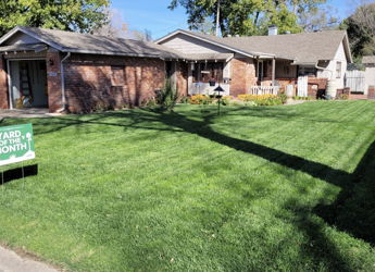 A vibrant front yard with a lush lawn, flower beds, and a “YARD OF THE MONTH” sign, set against sunny houses.