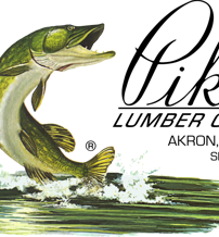 A vibrant pike leaps from water, creating splashes, evoking excitement and adventure in nature.